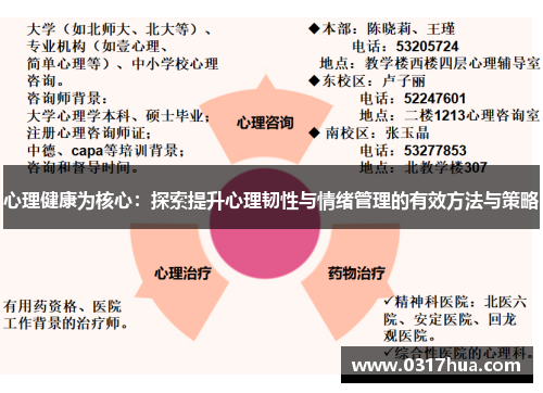 心理健康为核心：探索提升心理韧性与情绪管理的有效方法与策略